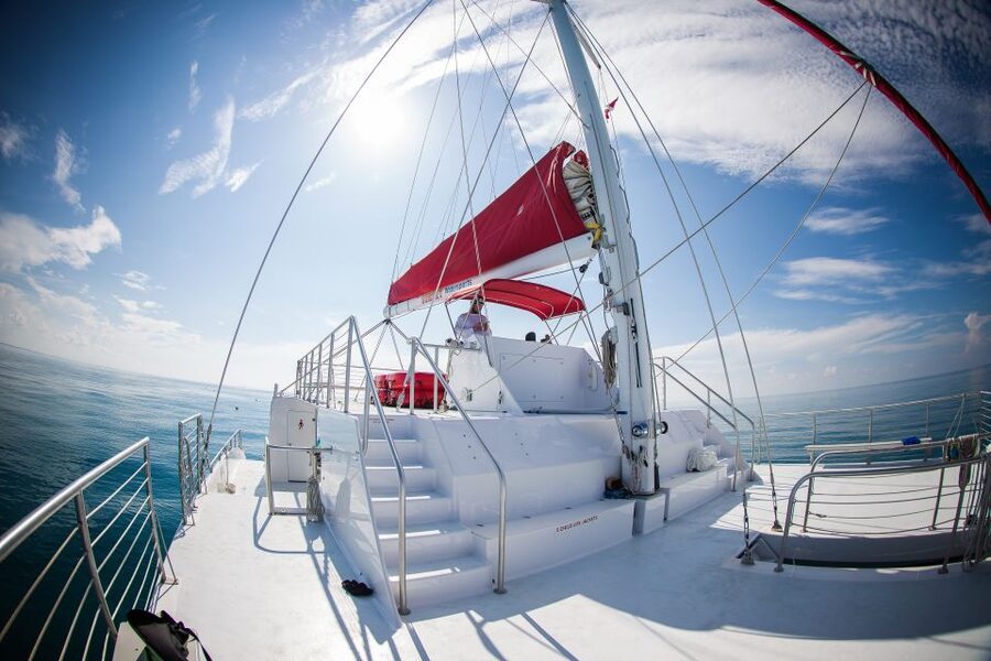Key West: 3-Hour Afternoon Reef Snorkel with Drinks - Snorkeling above coral, fish, and changing reef conditions