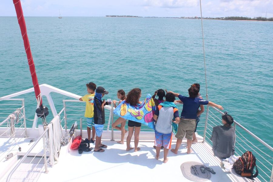 Key West: 3-Hour Afternoon Reef Snorkel with Drinks - Who will enjoy this three-hour outing most