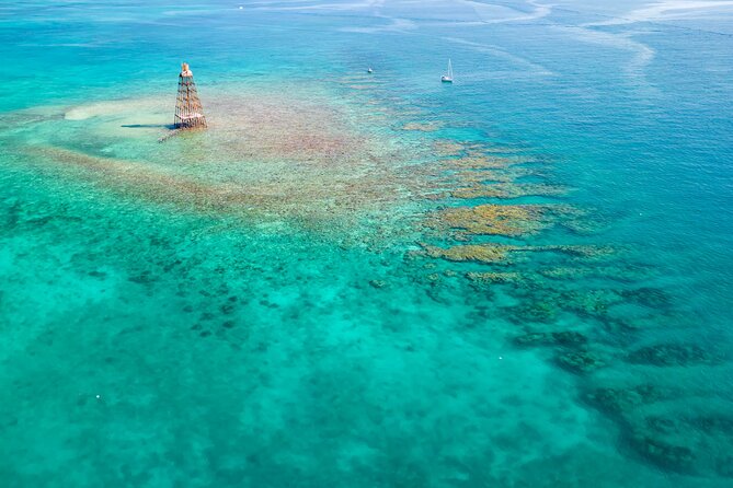 Key West Afternoon Reef Snorkeling with Open Bar - A Simple Afternoon on Key West’s Reef