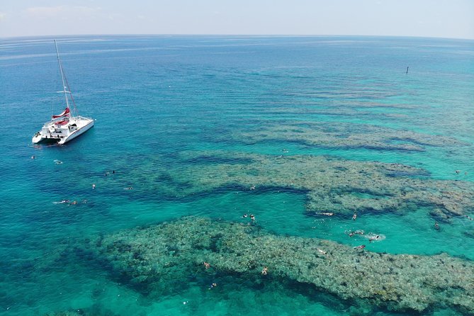 Key West Afternoon Reef Snorkeling with Open Bar - Fish, Turtles, Dolphins, and Realistic Expectations