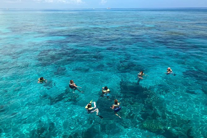 Key West Afternoon Reef Snorkeling with Open Bar - Is $59.95 Good Value?