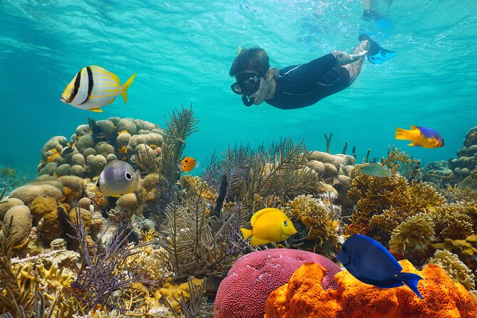 Key West Afternoon Reef Snorkeling with Open Bar - What the Safety Talk Means for First-Time Snorkelers
