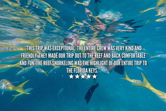 Key West Afternoon Snorkel Sail with Unlimited Cocktails! - Snorkeling among coral and tropical fish