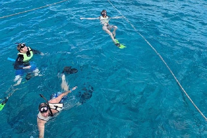 Key West Afternoon Snorkel Sail with Unlimited Cocktails! - Who should book the Marquesa afternoon sail