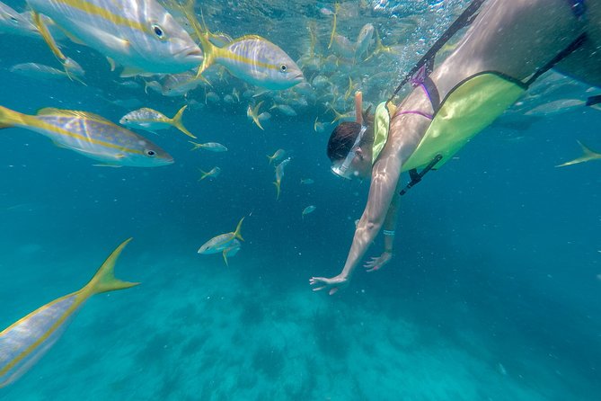 Key West Afternoon Snorkel Sail with Unlimited Cocktails! - Getting ready with crew-provided gear