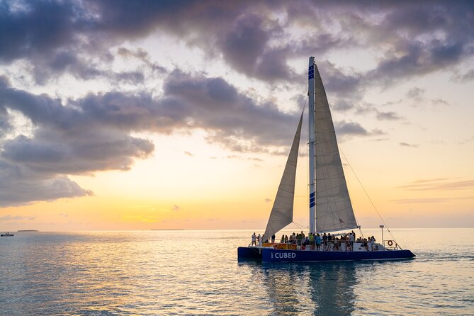 Key West Champagne Sunset Catamaran Cruise - Wildlife is a bonus, not the promise