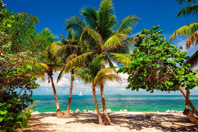 Key West Day Trip from Miami with Activities - Trolley tour for flexible sightseeing