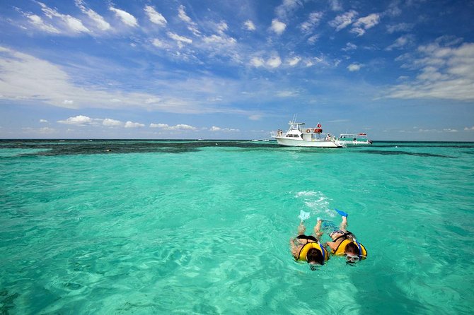 Key West Day Trip from Miami with Activities - Glass-bottom boat and dolphin watch options
