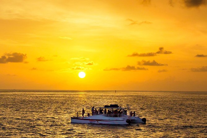 Key West Dolphin and Snorkel Experience - Key points before you book