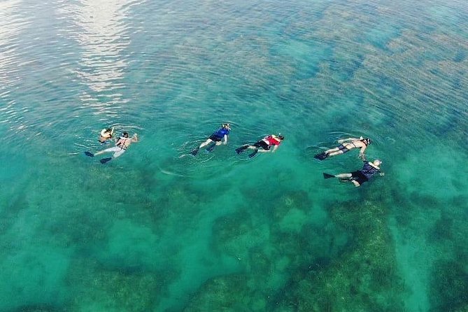 Key West Dolphin and Snorkel Experience - Group size and seating deserve attention