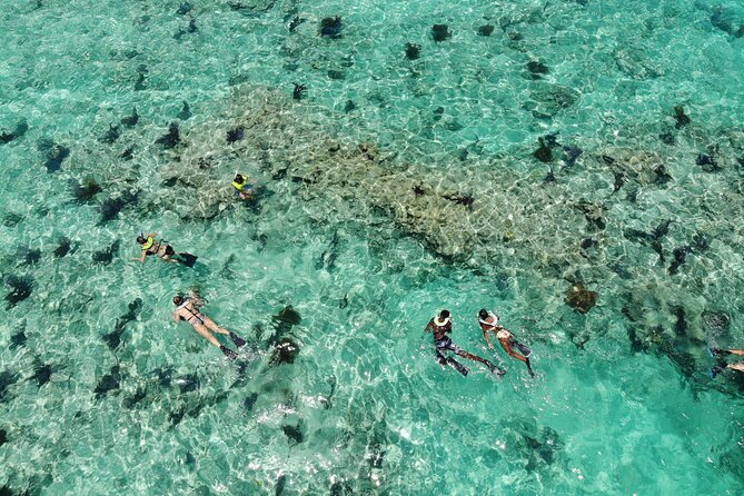 Key West Dolphin and Snorkel Experience - What the Florida Keys National Marine Sanctuary adds