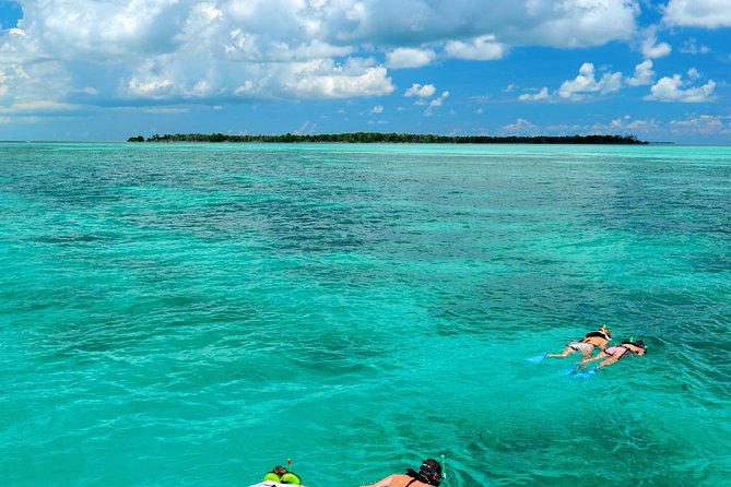 Key West Dolphin Watch and Snorkel Tour - Eco Adventure - From Greene Street to the open water