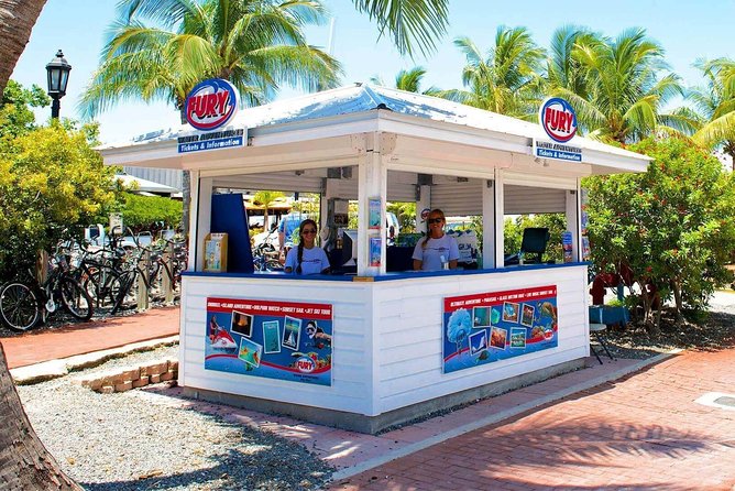 Key West Dolphin Watch and Snorkel Tour - Eco Adventure - Gear, instruction, and time in the water