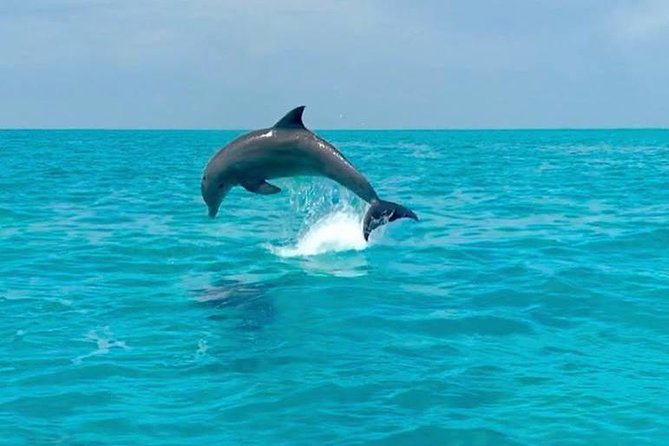 Key West Dolphin Watch and Snorkel Tour - Eco Adventure - Drinks and the relaxed catamaran ride