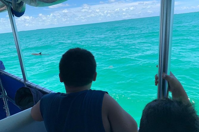 Key West Dolphin Watch and Snorkel Tour - Eco Adventure - What the $79.95 price really buys