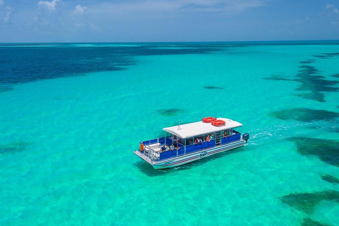 Key West Dolphin Watch and Snorkel Tour - Eco Adventure - The practical fine print for families and mixed groups