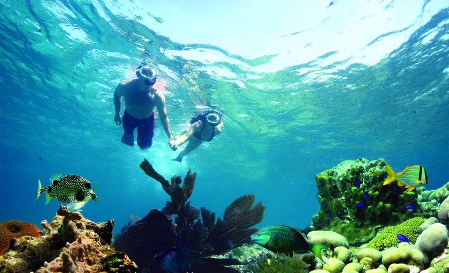 Key West: Dolphin Watching and Snorkeling Eco Cruise Tour - Key points to know before you book