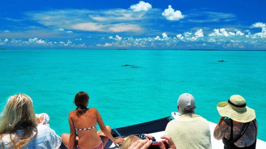 Key West: Dolphin Watching and Snorkeling Eco Cruise Tour - The ride home, drinks, and sunset timing