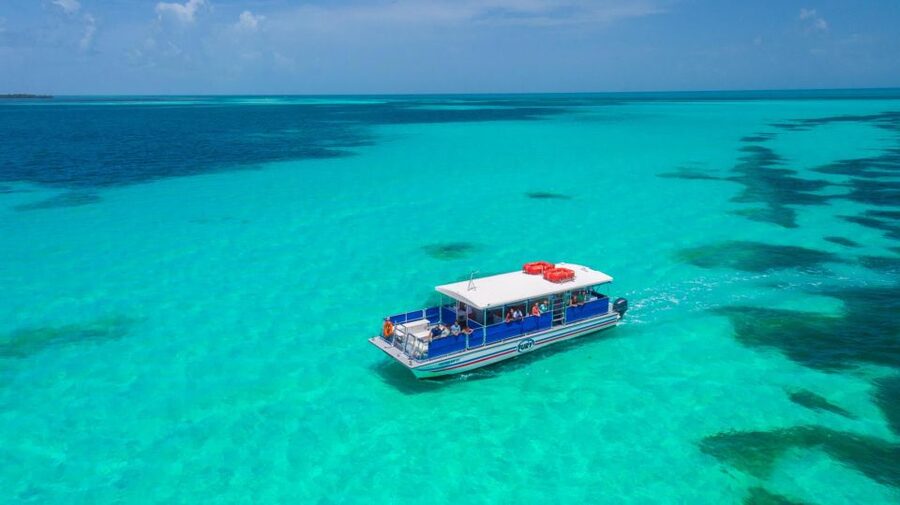 Key West: Dolphin Watching and Snorkeling Eco Cruise Tour - Why the catamaran and crew affect the value