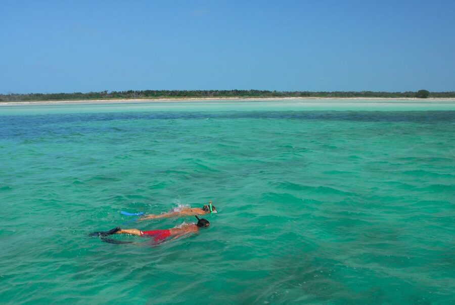 Key West: Dolphin Watching and Snorkeling Eco Cruise Tour - Meeting point and practical timing