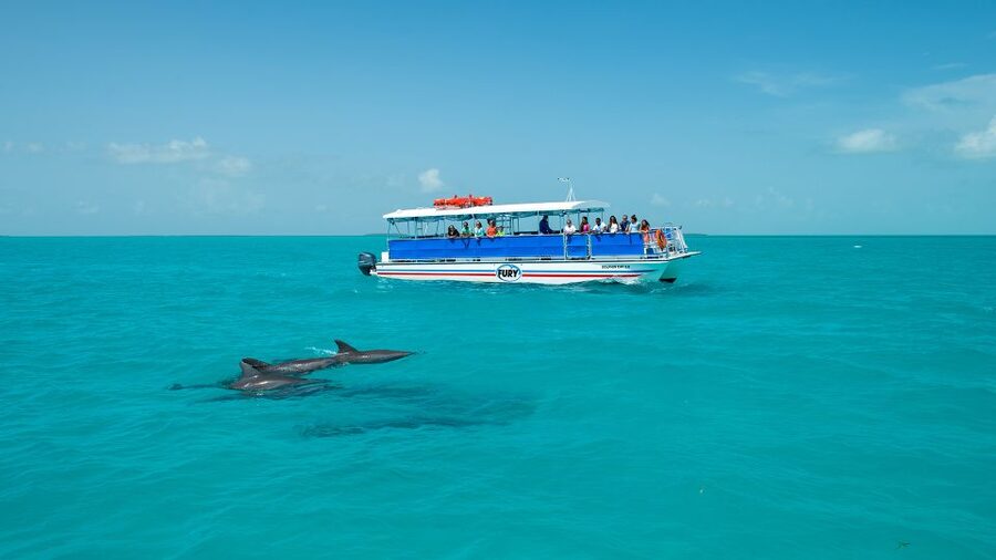 Key West: Dolphin Watching and Snorkeling Eco Cruise Tour - My call on the $79 price