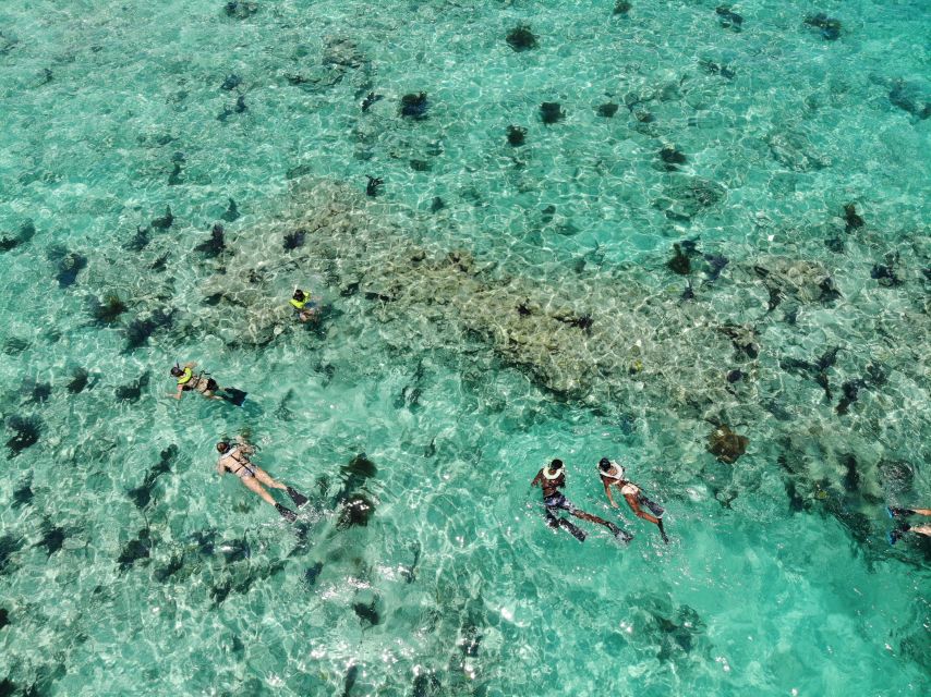 Key West: Dolphin Watching and Snorkeling Sunset Cruise - Key points to know
