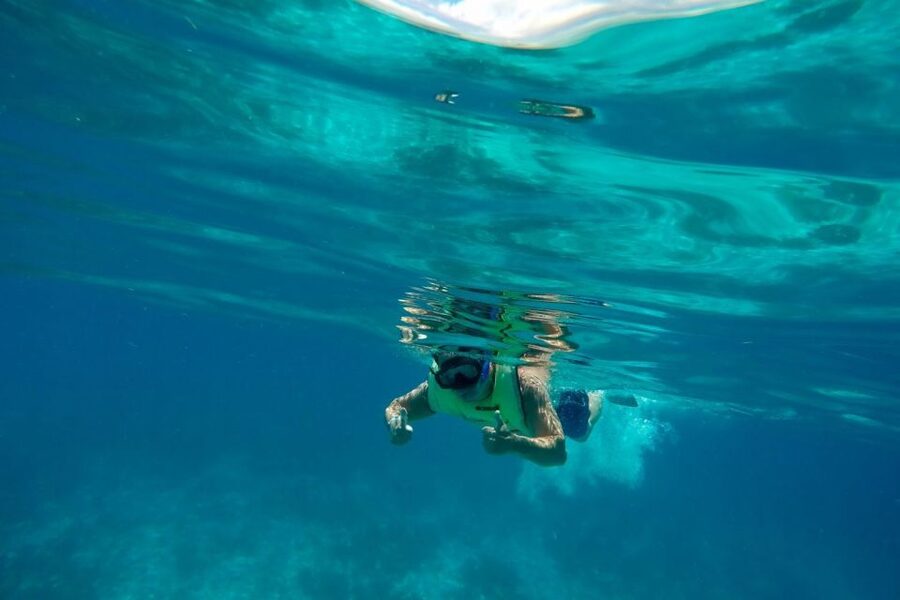 Key West: Dolphin Watching and Snorkeling Sunset Cruise - The main strengths and weak spots