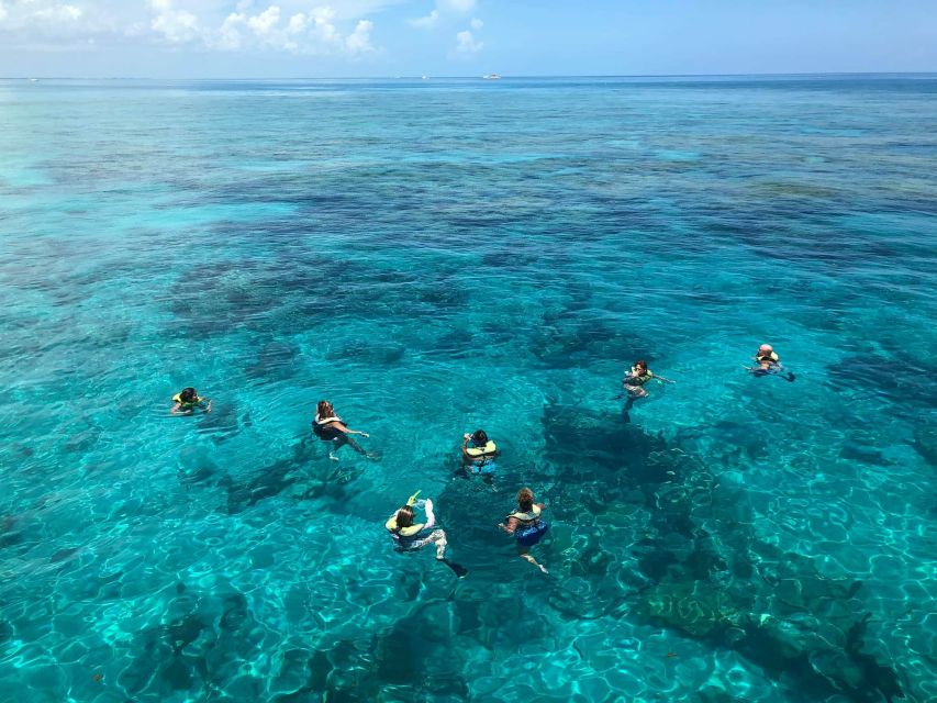 Key West: Dolphin Watching and Snorkeling Sunset Cruise - The sunset return to Key West