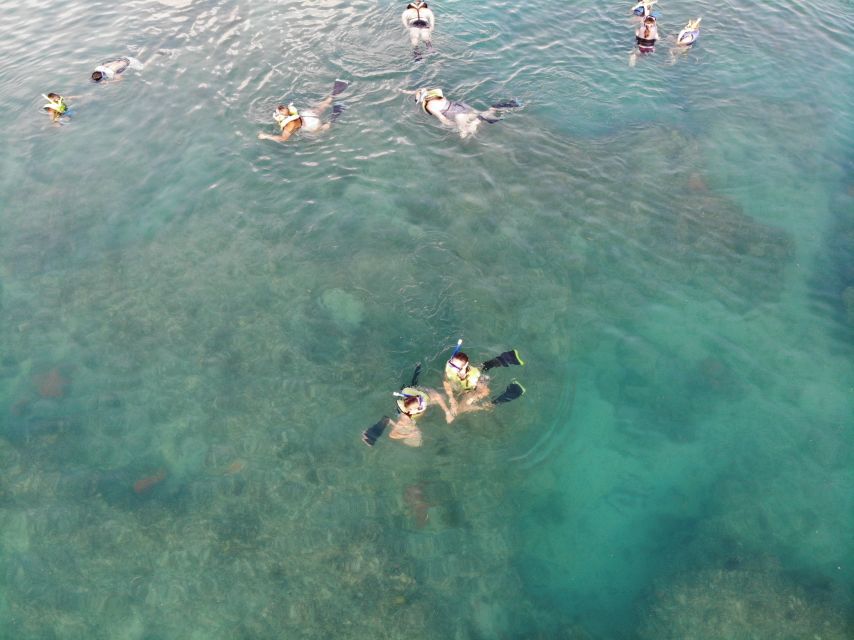 Key West: Dolphin Watching and Snorkeling Sunset Cruise - What to bring and how to prepare