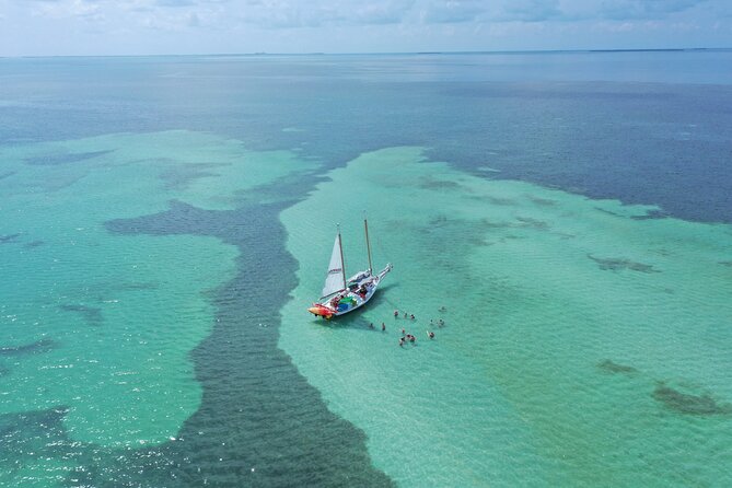 Key West Full-Day Ocean Adventure: Kayak, Snorkel, Sail - Who will get the most from the $152 price