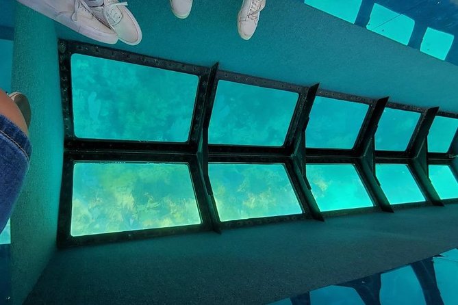 Key West Glass-Bottom Boat Tour with Sunset Option - How the glass-bottom viewing works