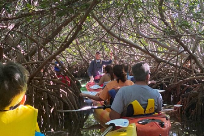 Key West Mangrove Kayak Eco Tour - How much work is the two-hour route?
