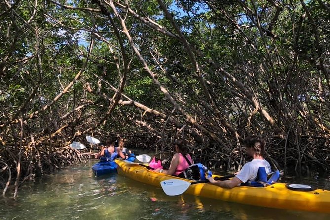 Key West Mangrove Kayak Eco Tour - The launch: simple instruction and helpful staff