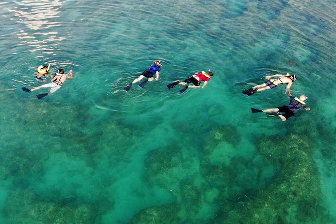 Key West Reef Morning Snorkeling with Breakfast and Mimosas - The ride back is where the party begins