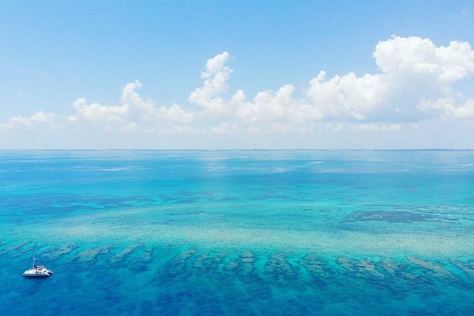 Key West Reef Morning Snorkeling with Breakfast and Mimosas - Equipment and comfort details