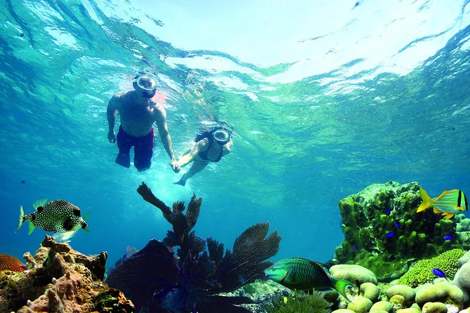 Key West Reef Snorkel – Morning Mimosas or Afternoon Margaritas - Sailing from Opal Key Marina
