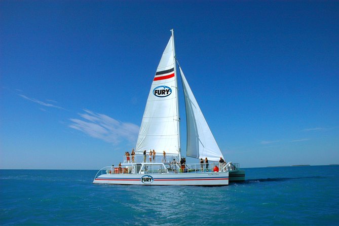Key West Reef Snorkel – Morning Mimosas or Afternoon Margaritas - What you may see around the reef