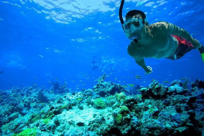 Key West Reef Snorkel – Morning Mimosas or Afternoon Margaritas - Water conditions can change the whole outing