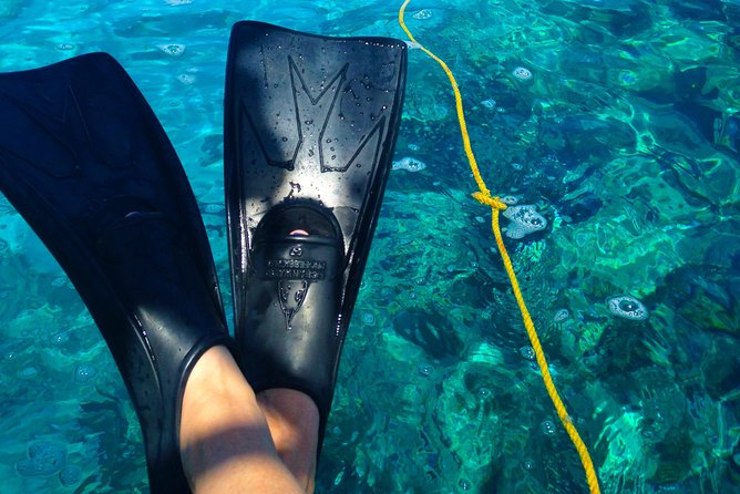 Key West Reef Snorkel & Sail Adventure - What the sailing yacht adds