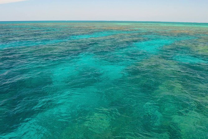 Key West Reef Snorkel & Sail Adventure - Who will enjoy this Key West outing?