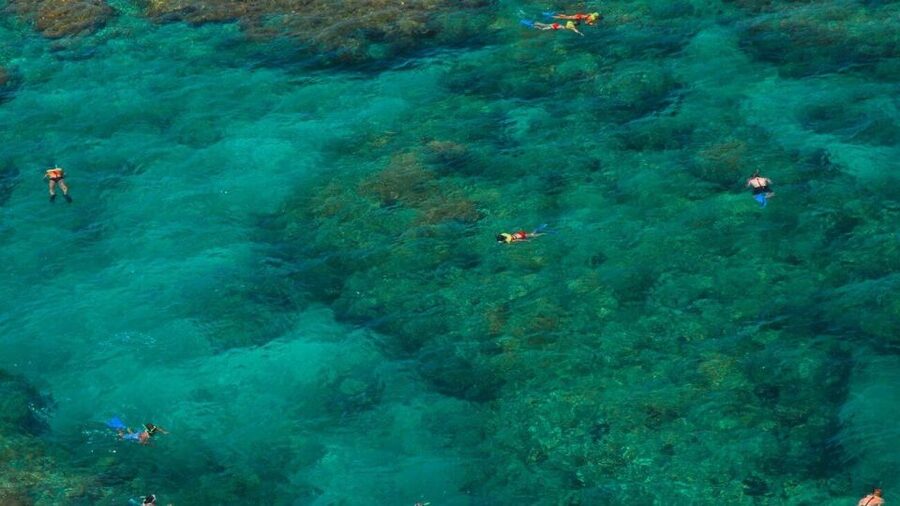 Key West: Reef Snorkeling with Drinks and Sunset Option - Key details before you book