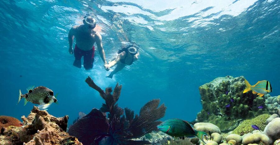 Key West: Reef Snorkeling with Drinks and Sunset Option - Sailing from Opal Key Marina