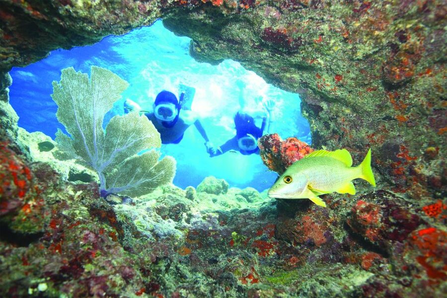 Key West: Reef Snorkeling with Drinks and Sunset Option - Drinks, music, and the ride home
