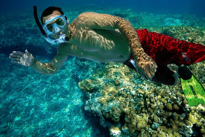 Key West Rum and Reggae: Reef Snorkel Adventure and Sunset Sail - From Front Street to the open water