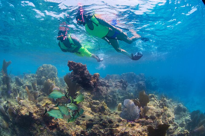 Key West Rum and Reggae: Reef Snorkel Adventure and Sunset Sail - What the $59.95 price really covers