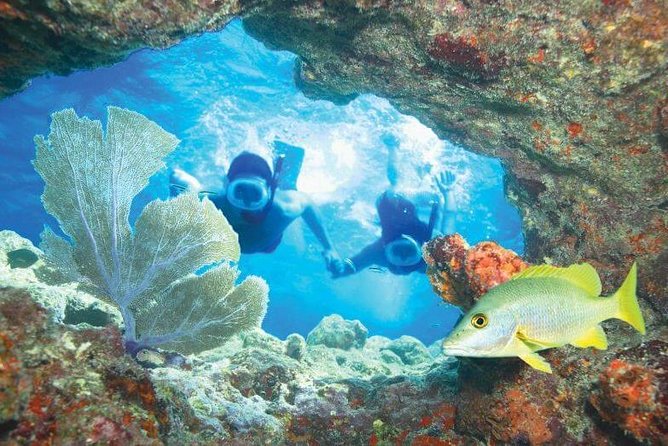 Key West Rum and Reggae: Reef Snorkel Adventure and Sunset Sail - Who will enjoy this trip most