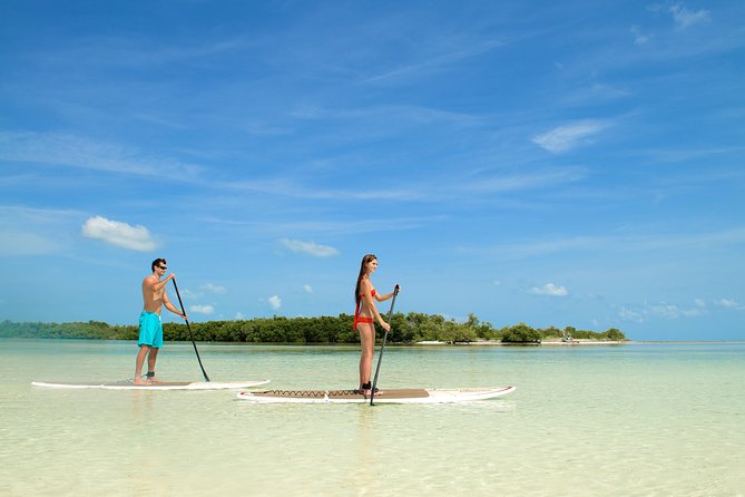 Key West's Island Adventure Sandbar Tour with Kayaking - What the $119.95 price really covers