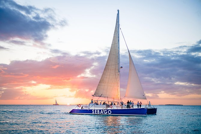 Key West Sunset Sail: Dolphin Watching, Wine, and Tapas - The dolphin watch: nature sets the schedule