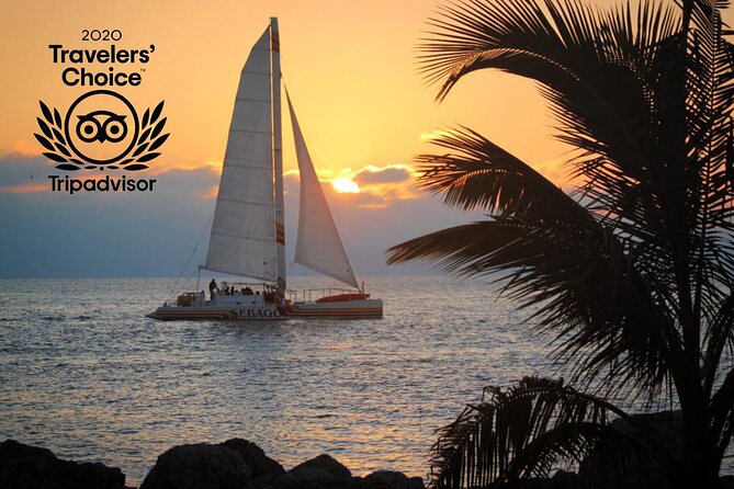 Key West Sunset Sail: Dolphin Watching, Wine, and Tapas - How the $89 price holds up