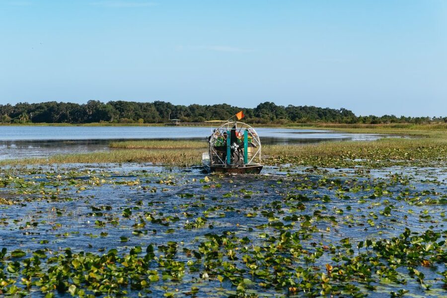 Kissimmee: Everglades Airboat Adventure Tour - What happens during the one-hour ride